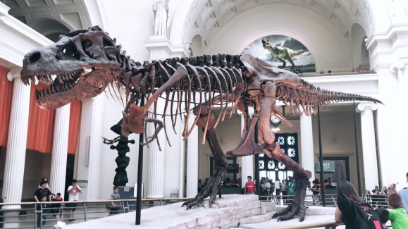The Field Museum 1.JPG